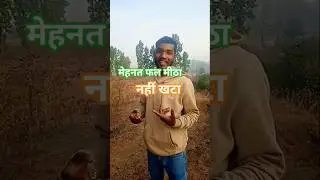 mehant ka phal mita nahi khata hoya hai #viralreel #viralvideo
