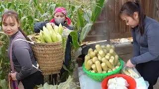 A Busy Harvest Day: Single Mom Cooks & Sells Corn to Earn Money to Raise Children - L&yacute; Tiểu Uy&ecirc;n