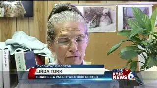Wild Bird Center Needs Help