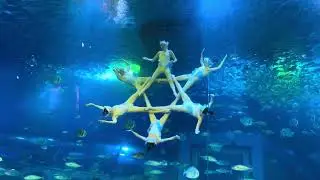 2/4/2025 - Grandview Mall - Grandview Aquarium - Mermaid Show