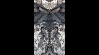 Epic Catacombs