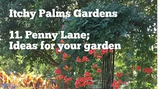 Itchy Palms Gardens  11. Penny Lane