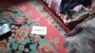3 ноября 2018 г.