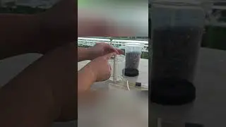 Bio FILTER Aquarium #diy #aquariumsetup #aquarium #fishtank