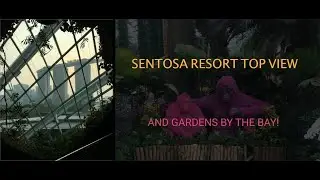 Singapore Tour 2 | Sentosa Island Bird View | Gardens by the bay