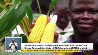 ACE4ES Africa: Promoting adoption of agroecology and circular economy technologies