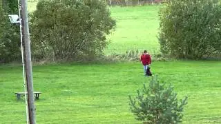 Berrys Budf&ouml;ring i Appellklass i Lindesberg 101003