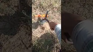 treasure hunt using pinpointer #metaldetecting #findgold #shortsfeed #goldhunting #foundgold #yt