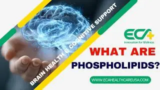 The Secret Ingredient Ending Brain Fog for Millions | Why Your Cells Are Starving Without It !