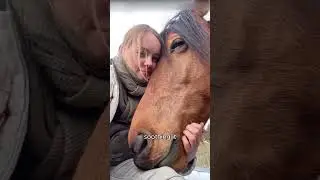 The friendship between two horses.#horses #shorts #animals #friendship #love