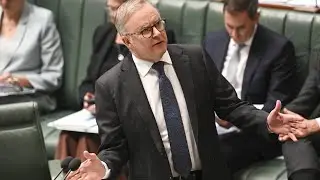 Anthony Albanese grilled on gambling reforms