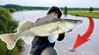 Zander und Hechtangeln im Herbst. Schnelle Ufertour.