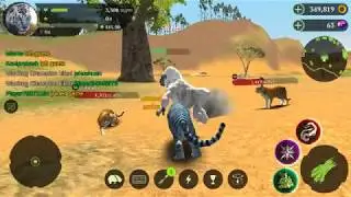 The Tiger Online Simulator