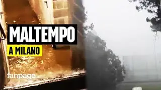 Maltempo a Milano, alberi caduti e strade chiuse: diverse linee di tram e bus deviate e rallentate