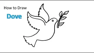 How To Draw a Dove Easy Step by Step
