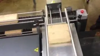 Multi conveyor