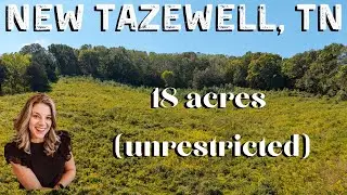 18 secluded, unrestricted acres in East Tennessee (New Tazewell, TN)  427 Daniel Hollow