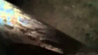 V3 fass pump noise