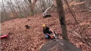 Arbor West Tree Service. Large tree job in Georgia. Bobcat MT100 and Bobcat L28 in action.
