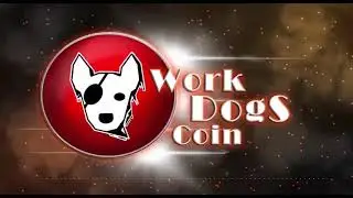 WORK DOGS