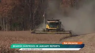 The Latest WASDE Report Brings Bearish Surprises