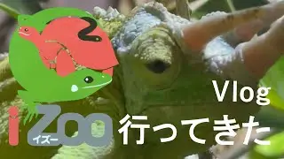伊豆　爬虫類専門動物園IZOOに行ってきた　＃Vlog ＃IZOO ＃爬虫類