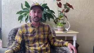 Who is Jean? series - Michael McDaniel