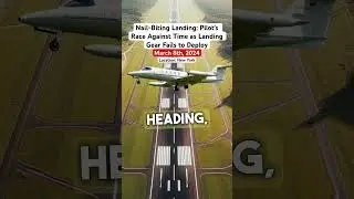 Nail-Biting Landing: Pilot's Race Against Time as Landing Gear Fails to Deploy #shorts