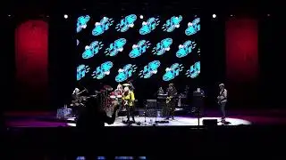 Little Feat - 