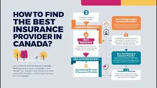 Car Insurance, Rental Insurance & Medical Insurance in Canada | Complete Guide