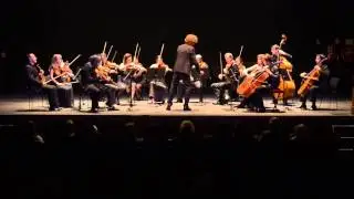 Tchaikovsky - String Serenade / Elegia. Larghetto elegiaco - OCNE / Nicolas Krauze