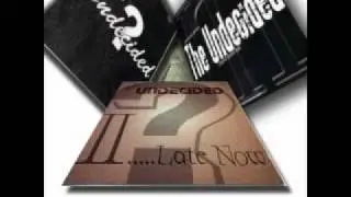 The Undecided (It's Alright) 2013 / 2014 Album