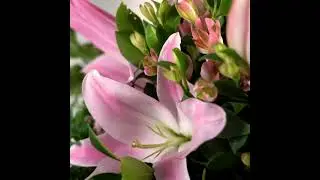 Informal Wreath | Funeral & Sympathy Flowers | Interflora NZ