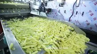 2t/h full automatic frozen french fries production line potato chips production line