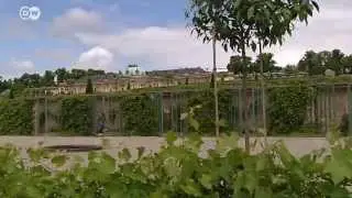 German Parks and Public Gardens | Discover Germany