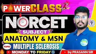 Anatomy & Medical Surgical Nursing | Multiple Sclerosis Explained #norcet