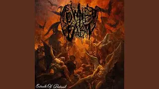 Entrails of Betrail