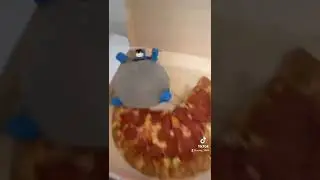WHO PUT BATMAN IN THE PIZZA BOX🍕😧