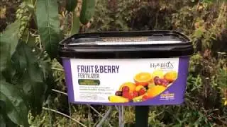 How to Grow Healthy Fruit and Berries