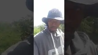 Masihambisane