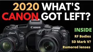 New Canon Camera Bodies & Lenses left in 2020