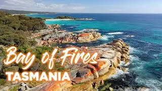 Bay of Fires Tasmania | Landscape Photography