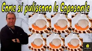 Come si puliscono le Capesante o Conchiglia di Saint Jacques