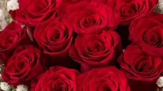 আজকে সারাদিন কিভাবে কাটলো❤️💥umme Rufaida vlog 