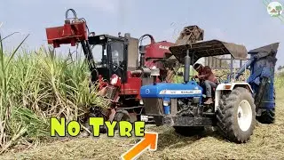 New Holland 3630 | Austoft 4000 Sugarcane Cutter so best performance