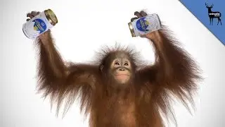 Can Animals Be Alcoholics?