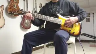 Esp Ltd Sc-607 Tobacco Burst with Stephen Carpenter Fishmans