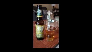 Titletown Brewing-400 Honey Ale