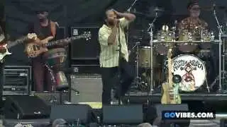 Rainbow In The Sky &ndash; Ziggy Marley | Live at Gathering Of The Vibes (2014)