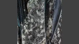 Ghost Breath